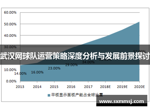 武汉网球队运营策略深度分析与发展前景探讨
